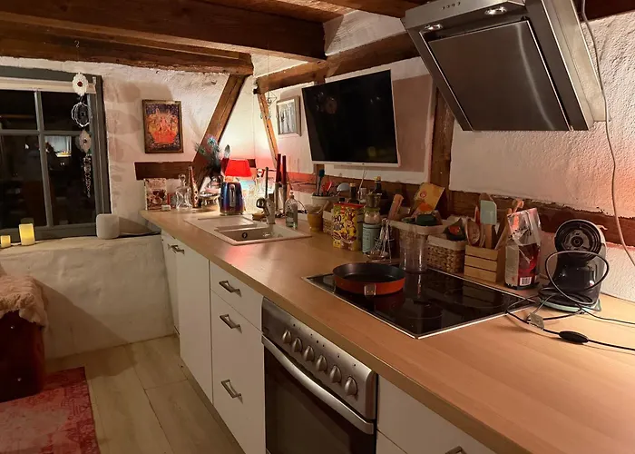 2700 m2 Platz zum Zelten , Eigener Wald