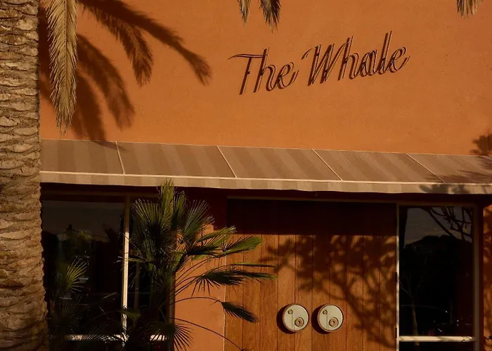 The Whale