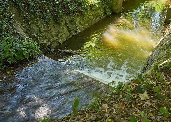 MARIENAU Tagungs- und Gästehaus, spiritueller Flair am Wallfahrtsort Schönstatt