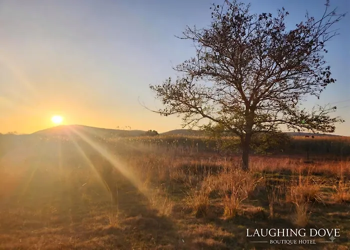 Laughing Dove Boutique Hotel