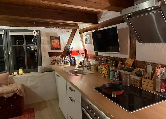2700 m2 Platz zum Zelten , Eigener Wald