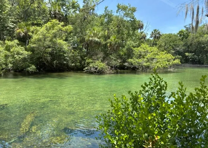 New Crystal River Resort Cabin W Pool & Boat Prkng