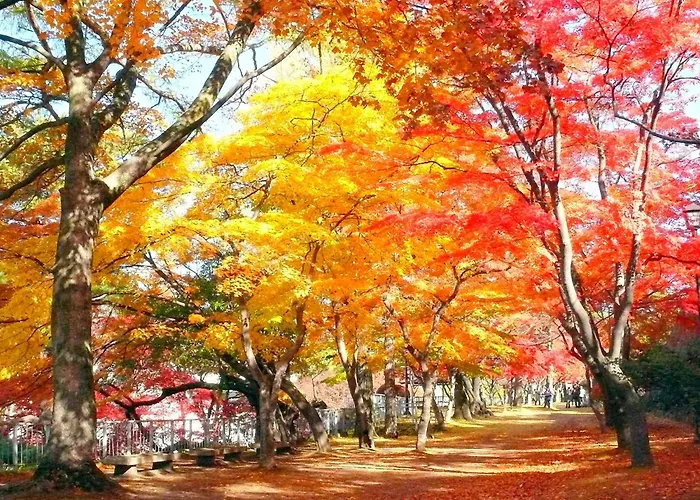 Hotel Pearl City Morioka
