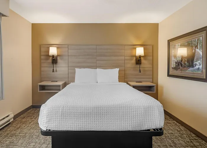 Best Western Bidarka Inn