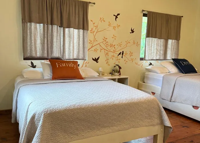La Casa De Pucha Surf History & Tropical Stay