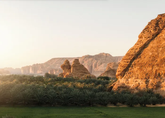 Caravan Alula By Our Habitas