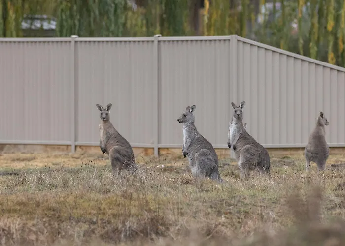 Creswick Holiday Park