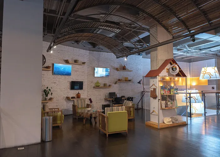 Hotel Bari Bucaramanga By Oxohotel