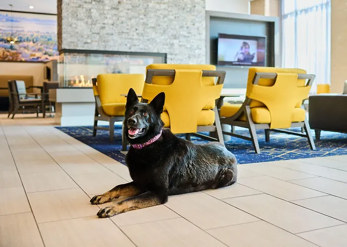 Residence Inn By Marriott Berkeley