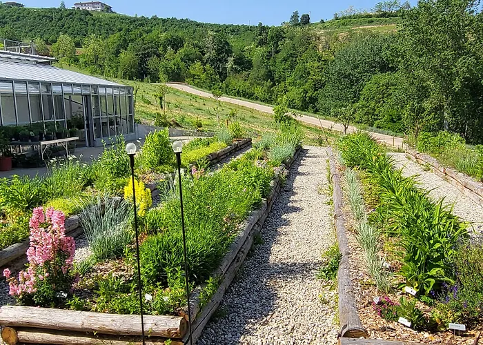 Casa Di Langa