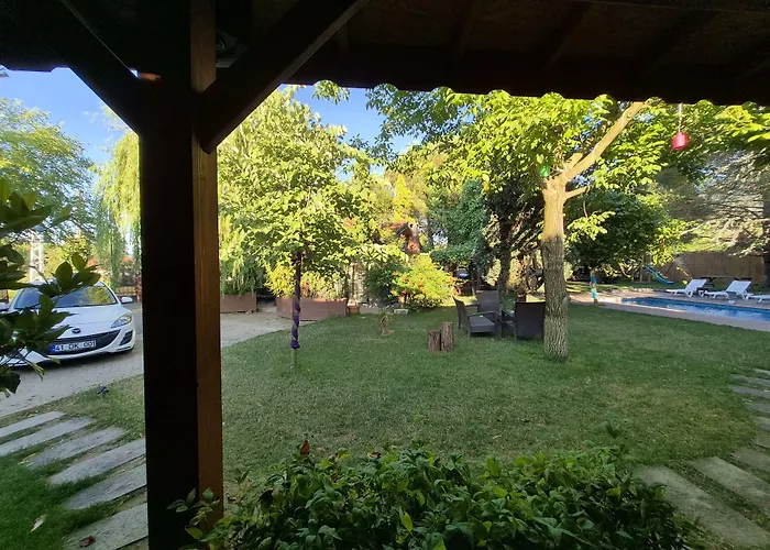 Alex Village Life