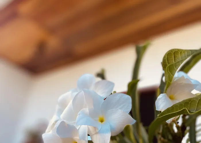 Beach Eco Stays Hotel Boutique Lagoinha