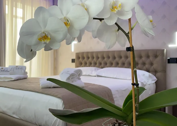 B&B L'Orchidea