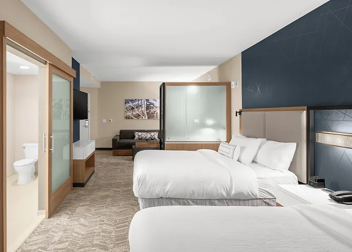 Springhill Suites By Marriott Jackson