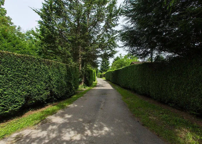 Camping Des Bondons