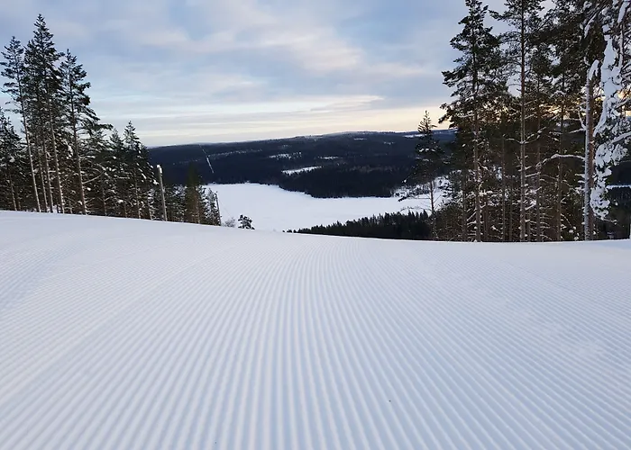 Bjursas Berg & Sjoe