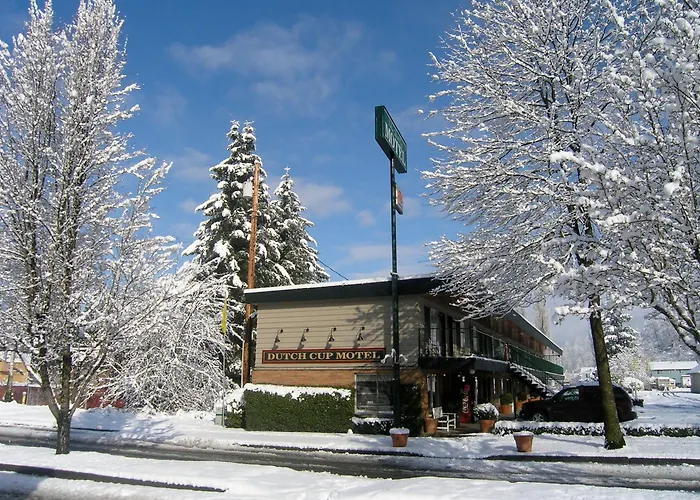 Dutch Cup Motel