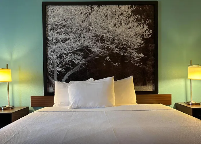 Super 8 By Wyndham Carbondale