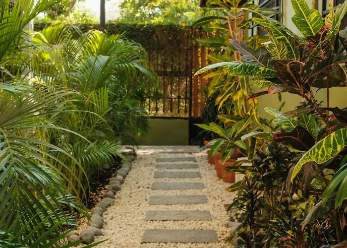 Nautilus Surf & Yoga Villas Santa Teresa