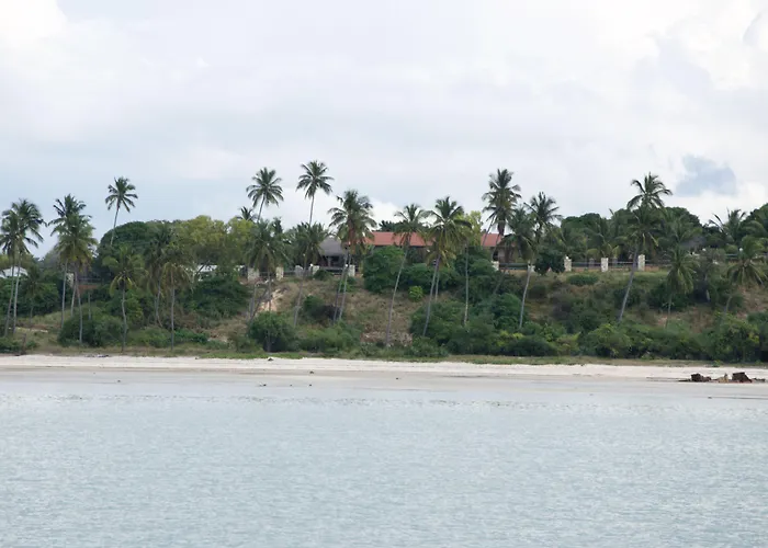 Aguia Negra