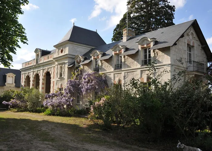 Château Campsite: Rustic Outdoor Experience