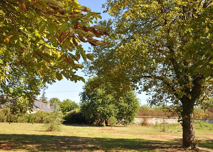 Emplacement Bucolique De Camping Dans Le Parc Du Chateau - Attention Tente, Materiels Et Electricite Non Fournis