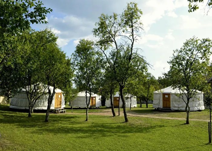 Orallo Szer