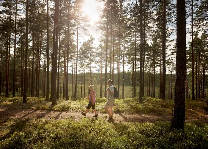 First Camp Hoekensas-Tidaholm