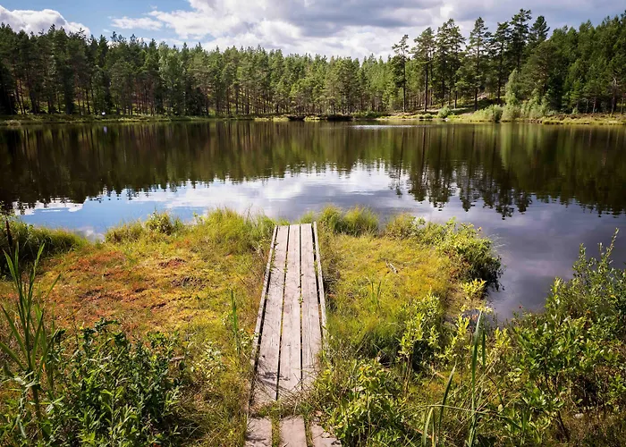 First Camp Hoekensas-Tidaholm