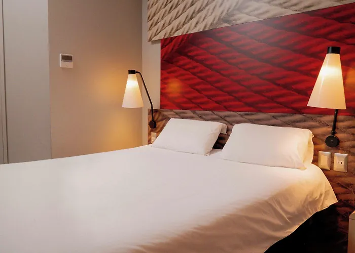 Ibis Copiapo
