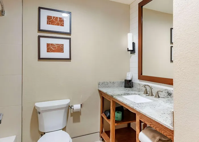 Comfort Suites - University