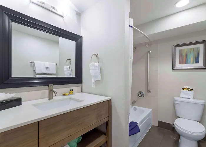 Best Western Plus Downtown North San Antonio