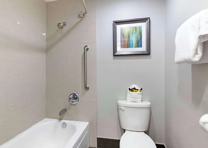 Best Western Plus Downtown North San Antonio