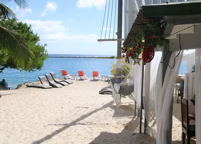 Coral Reef Beach