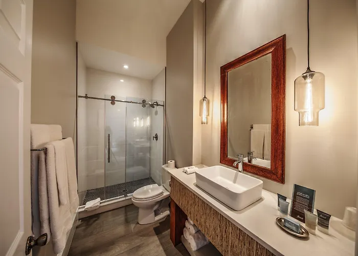 The Harkness Hotel
