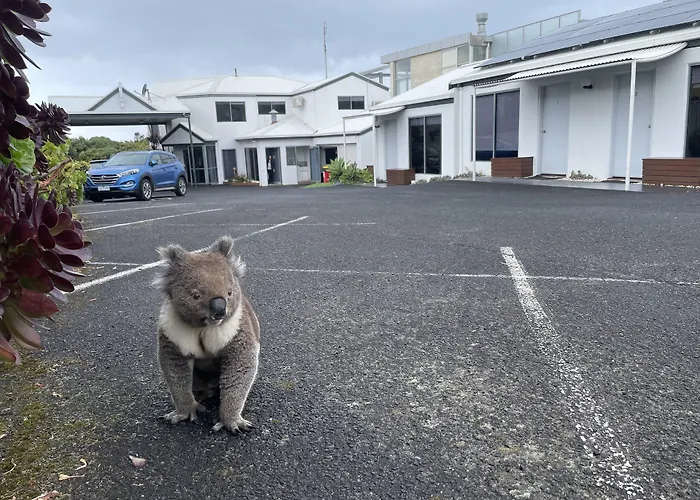 Coastal Motel