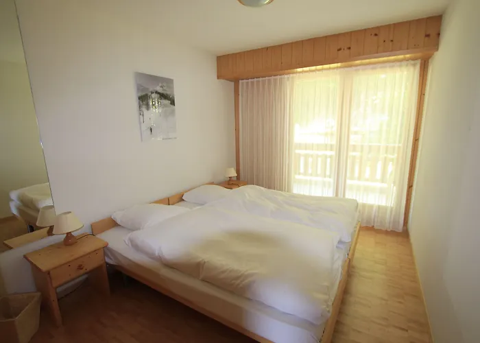 Hotel Les Bains D'Ovronnaz