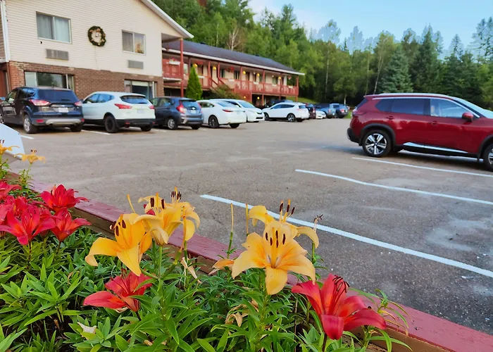 Motel Le Radisson De Val-David
