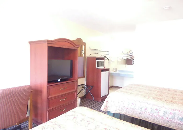 Huggy Bear Motel - Warren