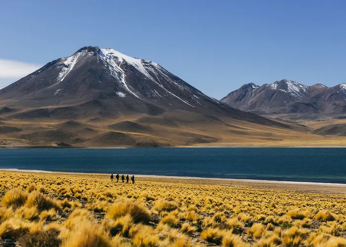 Altiplanico Atacama