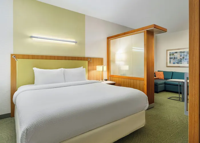 Springhill Suites By Marriott Scranton Montage Mountain