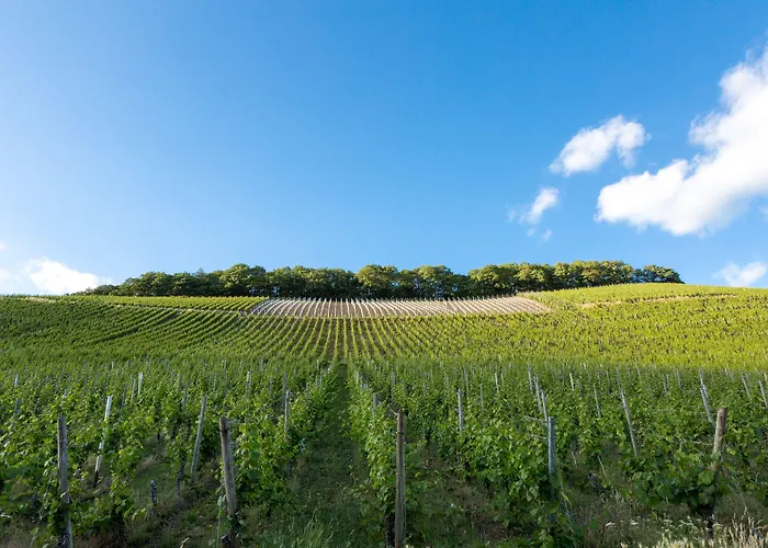 Weinhotel Ayler Kupp