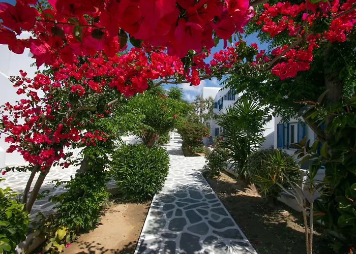 Acrogiali Beachfront Hotel Mykonos
