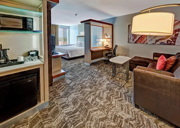 Springhill Suites By Marriott Oklahoma City Moore