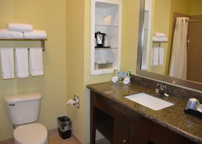 Holiday Inn Express Hotel & Suites Dumas By Ihg