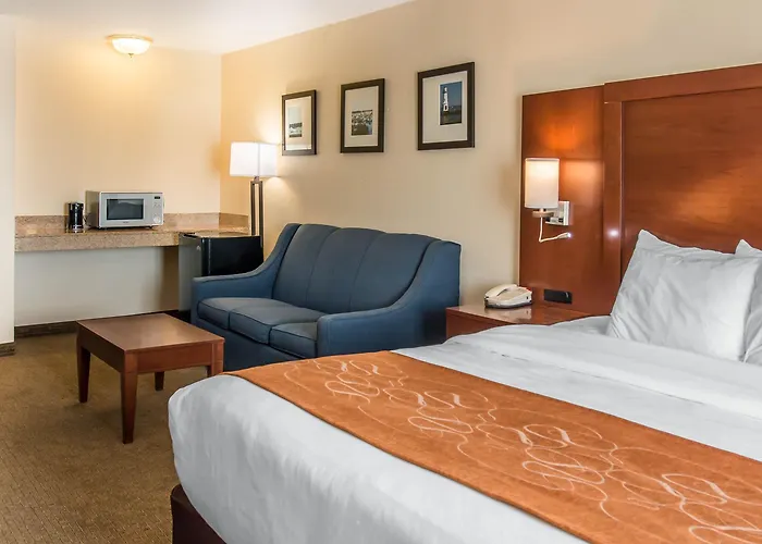 Comfort Suites Wixom - Novi