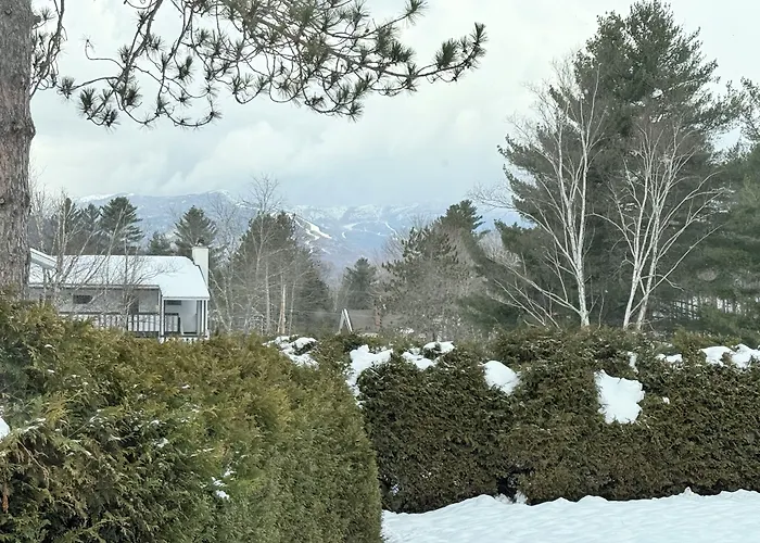 Stowe Motel & Snowdrift