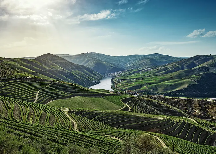The Vintage House - Douro