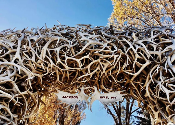 The Lodge At Jackson Hole