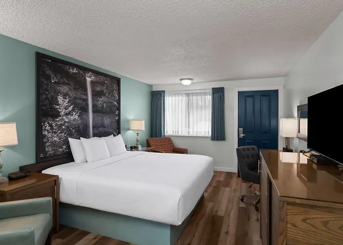 Super 8 By Wyndham Florence Or